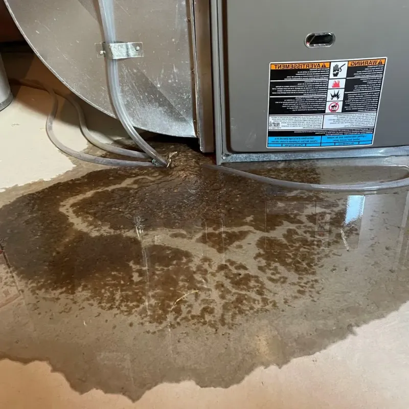 Pipe Burst and Leak Restoration in Moniteau County, MO